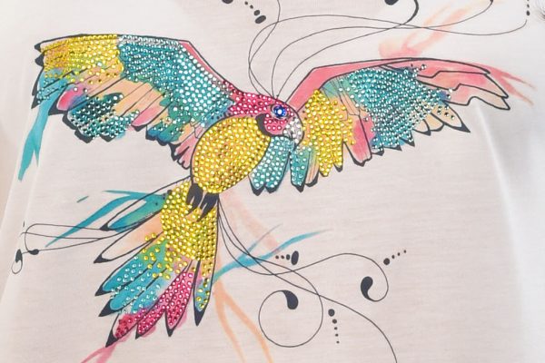 pappagallo-disegno